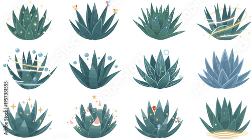 Aloe Vera Plant Collection Set with Decorative Succulent Variations Natural Botanical Elements and Desert Garden Style Cartoon Vector Illustrations for Nature and Eco Design