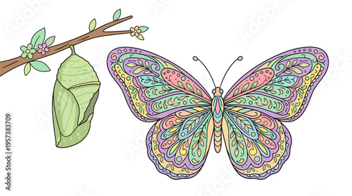 A vibrant illustration of a butterfly with intricate patterns next to a green chrysalis hanging from a leafy branch, depicting metamorphosis.