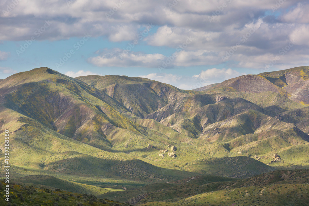 Naklejka premium Carrizo