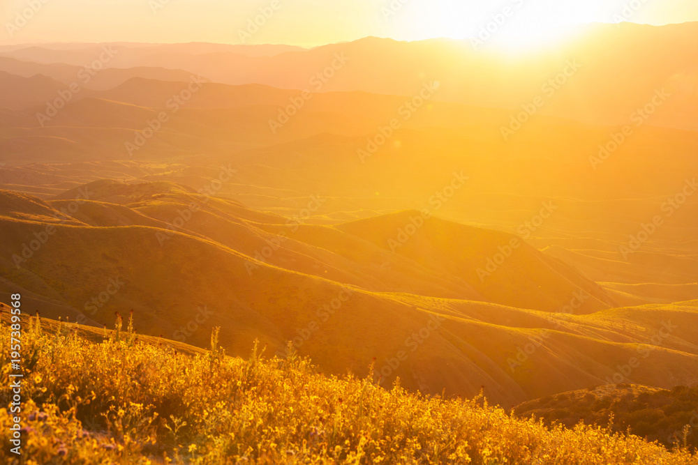 Fototapeta premium Green hills