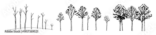 Trees set with thin black silhouette outlines on white backdrop featuring natural, evergreen, forest with simplistic and vector