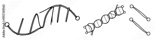 Fine line art of a single carbon nanotube structure, nanotechnology science theme, clean geometric lines, white background. set with simple line art design featuring line art, illustrations, graphi...