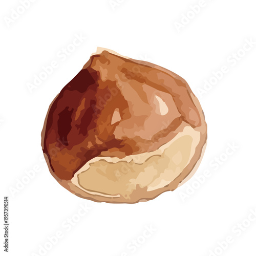 Watercolor-style fresh chestnut illustration, ripe nuts with burrs, autumn harvest food／水彩　栗