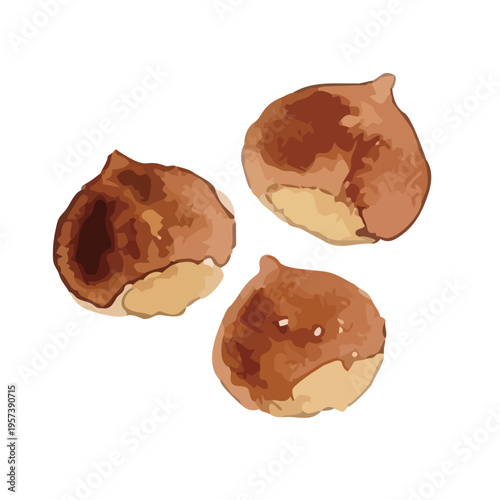 Watercolor-style fresh chestnut illustration, ripe nuts with burrs, autumn harvest food／水彩　栗
