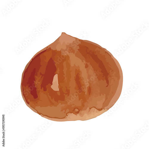 Watercolor-style fresh chestnut illustration, ripe nuts with burrs, autumn harvest food／水彩　栗