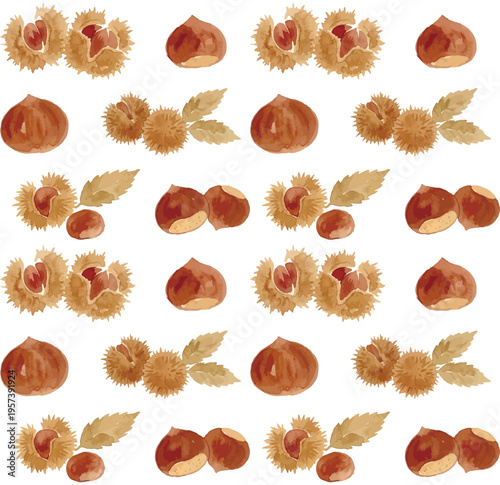 Watercolor-style fresh chestnut illustration, ripe nuts with burrs, autumn harvest food／水彩　栗