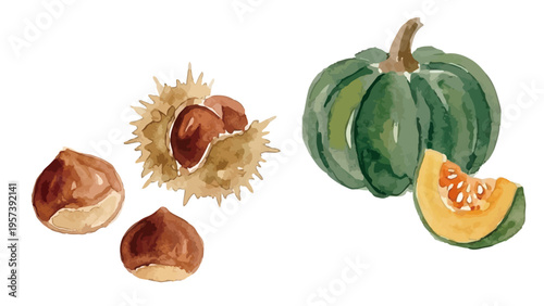 Watercolor-style autumn harvest set, chestnut and pumpkin illustration, ripe nuts and gourd／水彩　栗　かぼちゃ