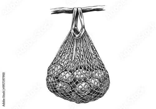 Hand-drawn illustration of a mesh bag filled with produce hanging from a branch