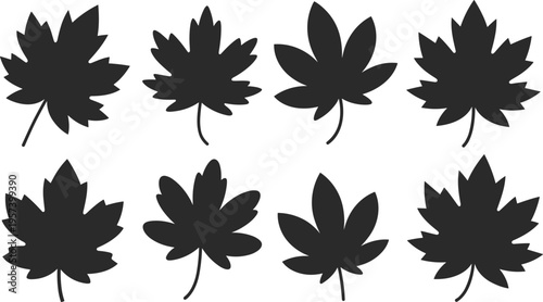 Set of black maple leaf silhouettes in various shapes and sizes representing autumn season nature foliage forest greenery and environment.