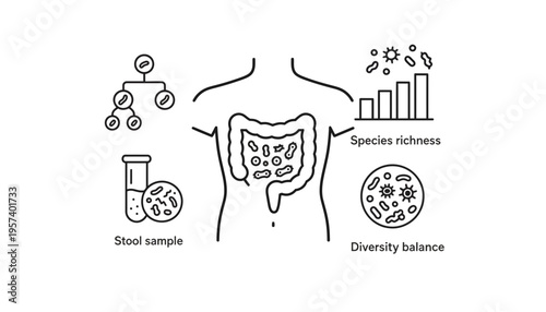 Gut microbiome illustration with species richness and diversity balance