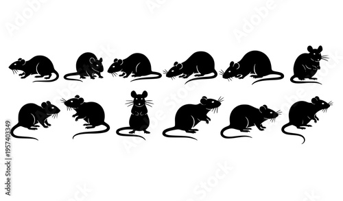 Minimal rat and mouse silhouette icon set simple rodent shapes vector isolated on white background