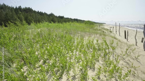Sandy coastline of the Baltic Sea in Latvia. Yellow sand and large stones on the shore. Waves run onto the beach on a sunny day. Latvia, Gulf of Riga. 
