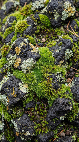 A close-up view unveils the...