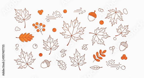 Autumn Leaves and Acorns Hand Drawn Sketch Collection - Fall Season Elements