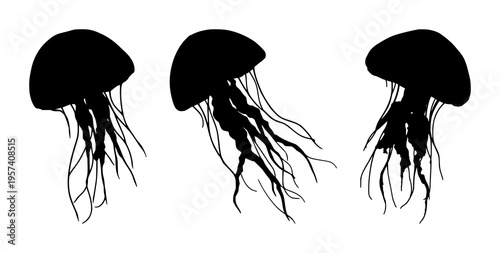 Jellyfish silhouette set with flowing translucent tentacles and soft glowing outline featuring marine life, underwater, illustration with minimalism and silhouette