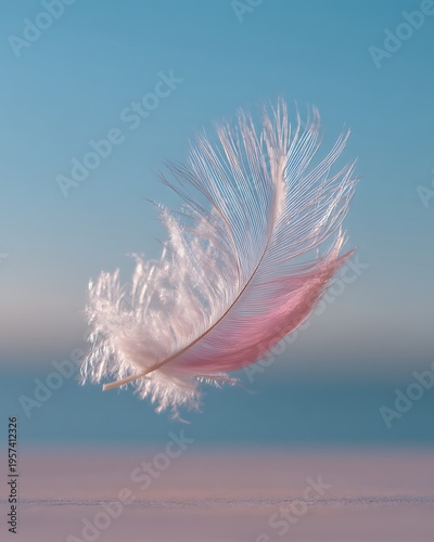 Wallpaper Mural Soft pink feather floating gracefully on tranquil background, symbolizing delicacy and beauty of nature, perfect for artistic and inspirational themes. Torontodigital.ca