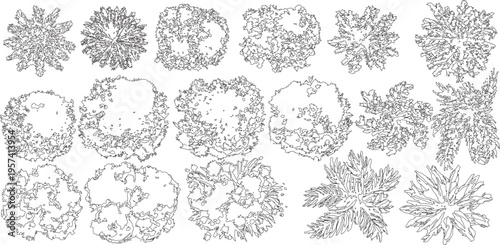 sophisticated library of abstract plant and tree plan symbols. These line-art illustrations focus on artistic silhouettes and organic textures, providing unique visual character for high-end landscape