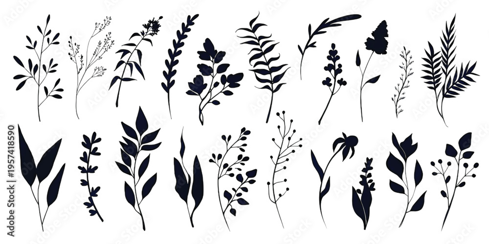 Fototapeta premium A collection of various botanical silhouettes showcasing different leaf and plant branch shapes