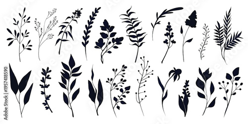A collection of various botanical silhouettes showcasing different leaf and plant branch shapes