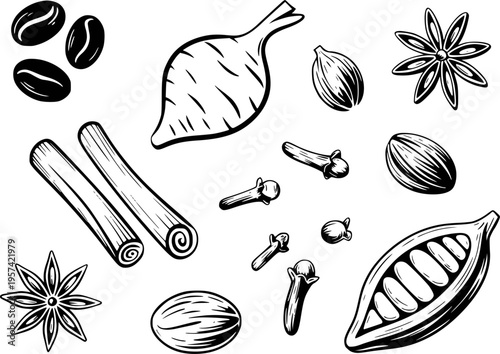 Black and white line collection of various spices including star anise cinnamon sticks coffee beans and cloves