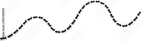  Black print track shows ants walking in a wavy curved line silhouette vector