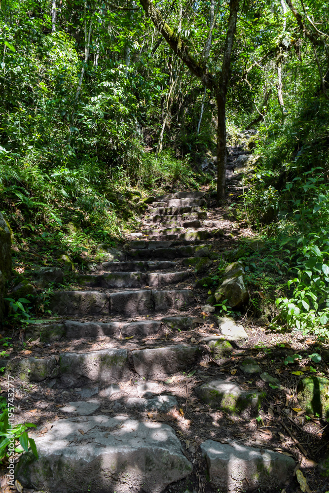 Fototapeta premium Machu Picchu, pathway to peruvian incan town, unesco world heritage site, sacred valley, Cusco region, Peru