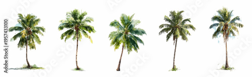 Hand drawn watercolor palm trees showing tropical nature and summer vacation elements, perfect for illustrating exotic getaway destinations and island life themes
