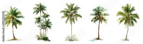 Five hand painted watercolor palm trees in vibrant greens, isolated on white  a tropical botanical set ideal for summer, travel, beach, and nature design projects
