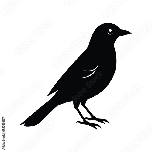 Bird icon vector illustration. black bird silhouette isolated on white background.