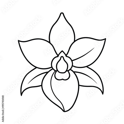 Orchid flower icon vector illustration. beautiful orchid blooming flower. tropical flower.