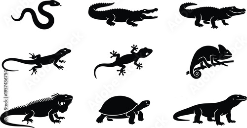 Reptile silhouettes vector illustration, flat design