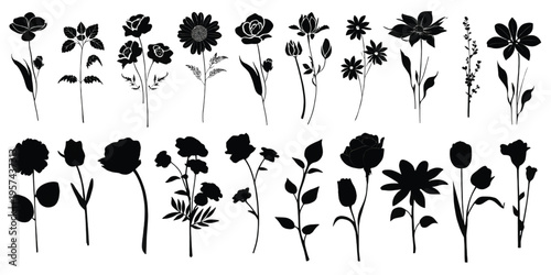 A collection of various hand drawn floral silhouettes isolated on a plain white background design