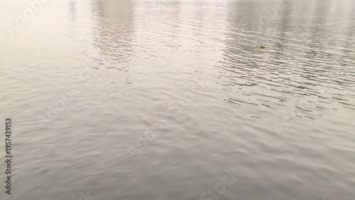 Calm Nile River Water Texture With Gentle Ripples on the Surface of Ancient Nile River in Egypt at Noon