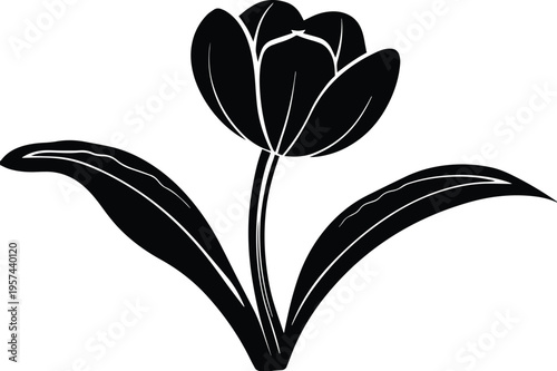 tulip flower silhouette vector – black tulip illustration for floral and botanical design .

