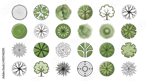 Tree Top View Icon Collection – Landscape Plan Botanical Canopy Symbols Mixed Style Vector Set