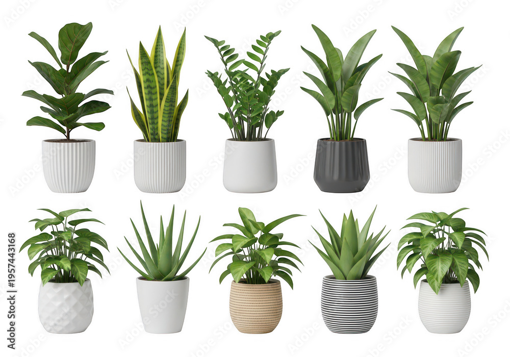 Fototapeta premium Collection of various indoor potted plants featuring diverse green leaves and decorative containers