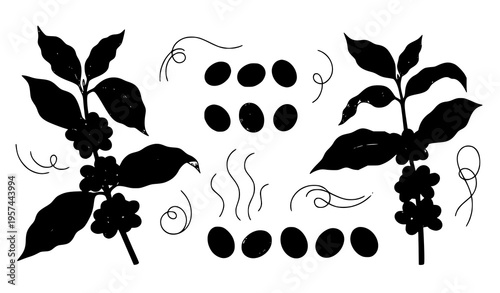 Minimal coffee plant botanical set arabica beans and tropical leaves flat vector illustration isolated on white