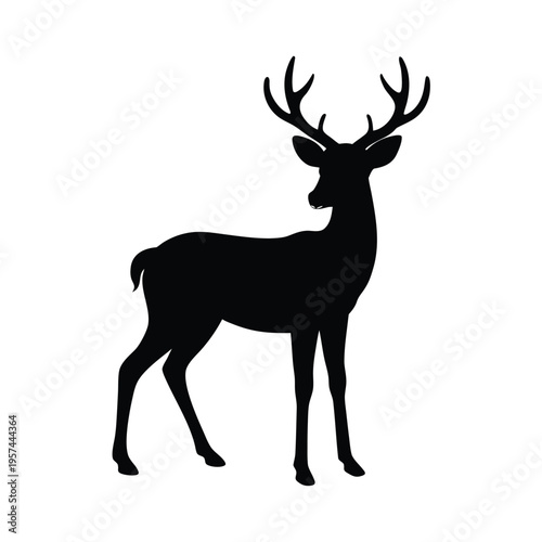 Graceful deer silhouette standing in profile, elegant wild animal