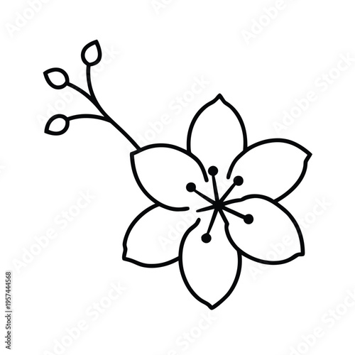 Delicate cherry blossom flower with branch and buds line art vector illustration for logo