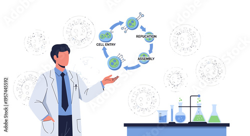 Scientist Explains Cell Replication Cycle in Laboratory Setting