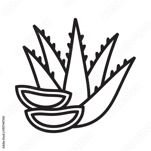 Black and white illustration of an aloe vera plant with cut leaves