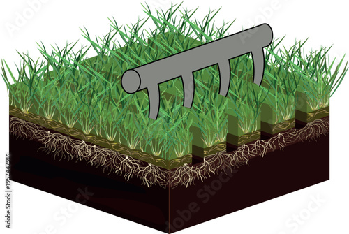Diagram showing lawn scarification