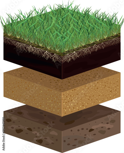Natural turf lawn installation diagram, soil layers profile with grass, topsoil, sand, and native soil, cross section for landscaping