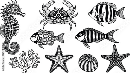 Set of detailed marine life illustrations featuring seahorse crab tropical fish starfish coral and seashell with intricate patterns for coloring books and nautical designs