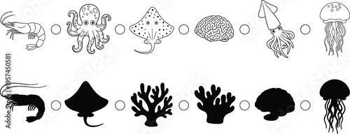 Set of sea creature icons featuring shrimp octopus stingray brain coral squid and jellyfish in line art and black silhouette for marine life designs
