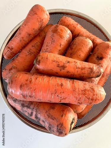 very fresh organic carrots bunch