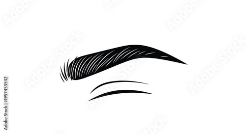 Stylized illustration of a single eyebrow with delicate line work
