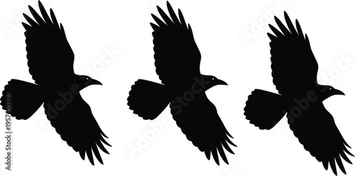 Flying bird silhouettes set with wings spread black raven crow shapes vector illustration collection isolated