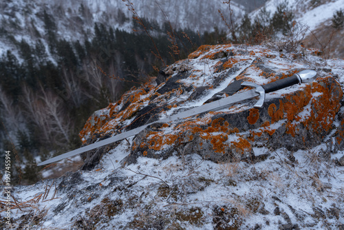 Weathered sword rests on mossy rock amidst snowy, forested landscape
