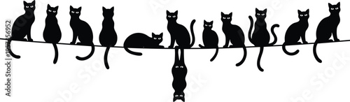 Black silhouette cats vector illustration sitting on branch with playful poses, humorous upside-down feline, creative animal artwork for design projects